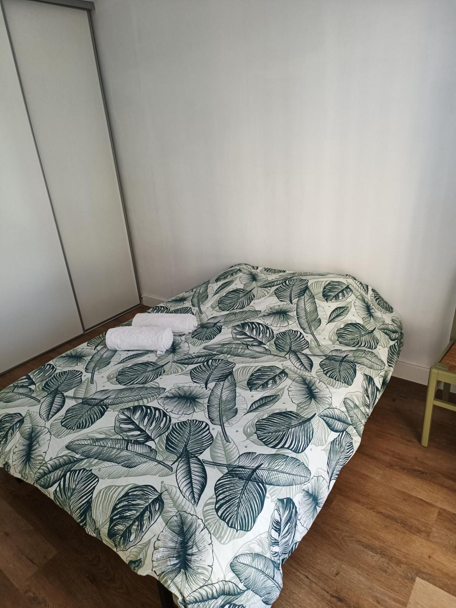 Appartement Proche Centre Ville / 3 Chambres Περπινιάν Εξωτερικό φωτογραφία